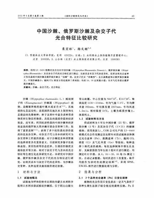 中国沙棘、俄罗斯沙棘及杂交子代光合特征比较研究