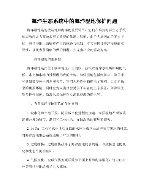 海洋生态系统中的海洋湿地保护问题