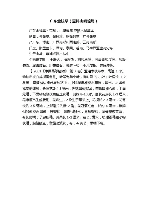广东金钱草（豆科山蚂蝗属）