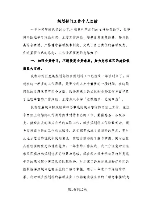 2024年规划部门工作个人总结(四篇)