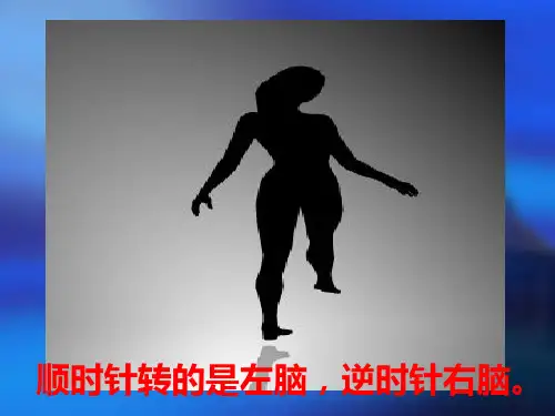 眼的应用解剖生理PPT医学课件
