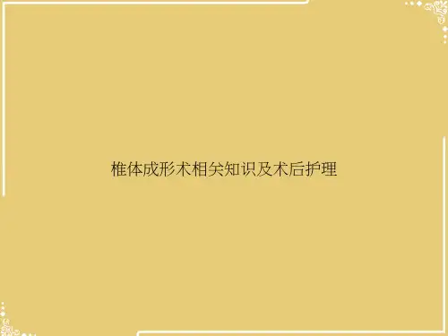 椎体成形术相关知识及术后护理【共16张PPT】