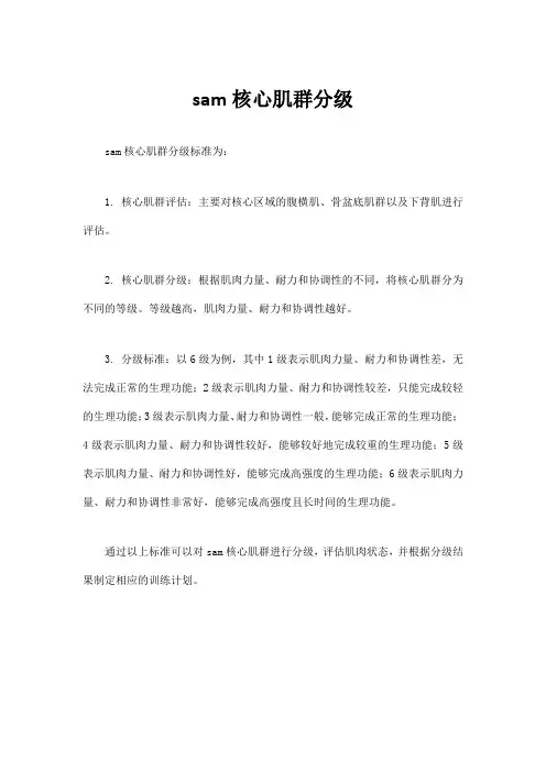 sam核心肌群分级