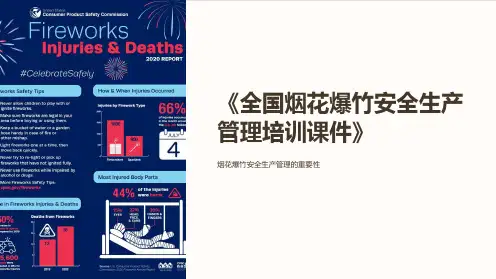 《全国烟花爆竹安全生产管理培训课件》