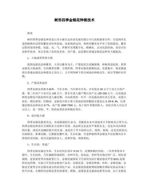 树形四季金银花种植技术