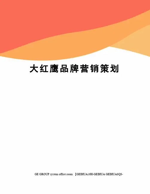 大红鹰品牌营销策划精修订