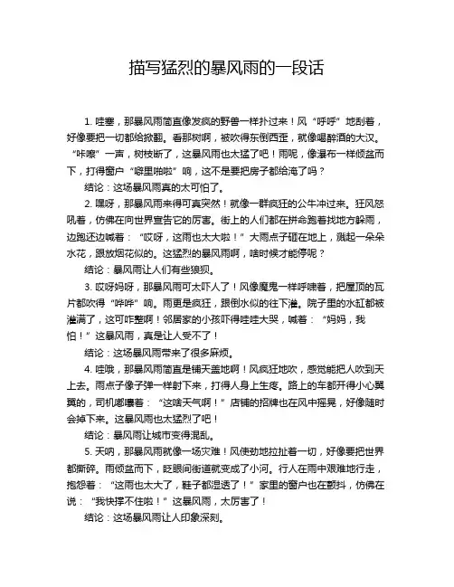 描写猛烈的暴风雨的一段话