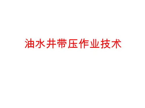 油水井带压作业技术
