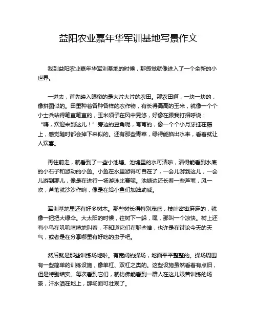益阳农业嘉年华军训基地写景作文