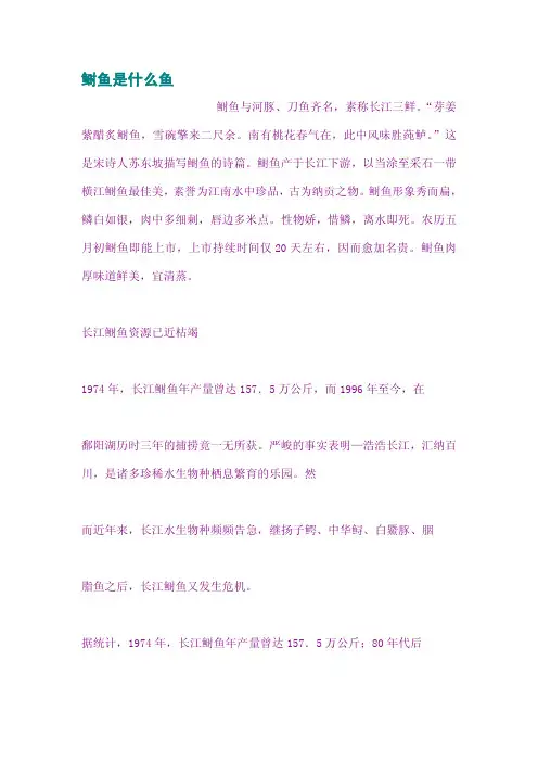 鲥鱼是什么鱼