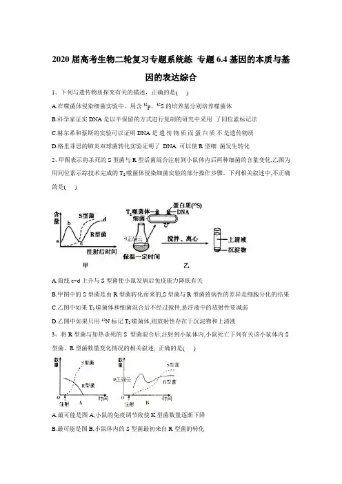 2020届高考生物同步复习专题系统练： 专题6.4基因的本质与基因的表达综合 Word版含答案