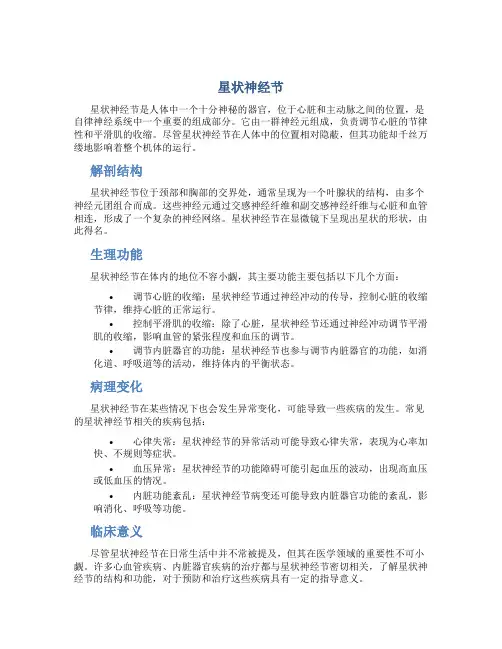 星状神经节