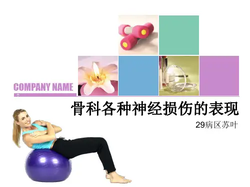 骨科各种神经损伤的表现