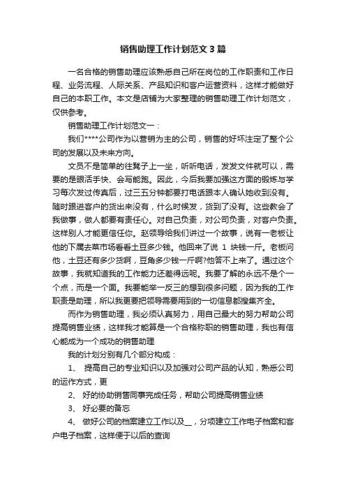 销售助理工作计划范文3篇