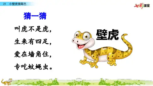 部编版一年级语文下册21 小壁虎借尾巴(精品课件)