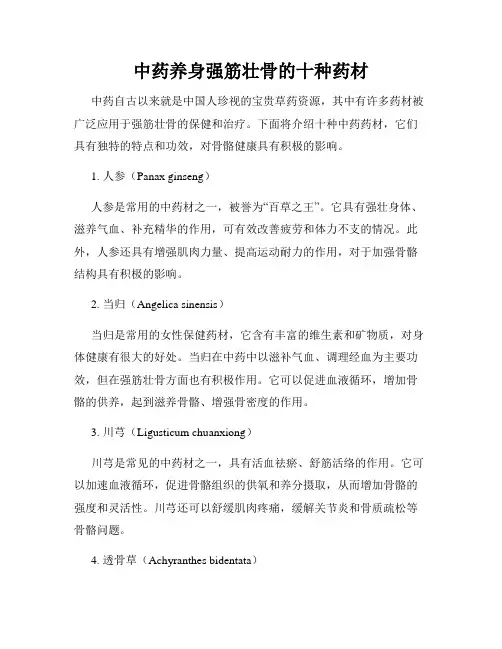 中药养身强筋壮骨的十种药材