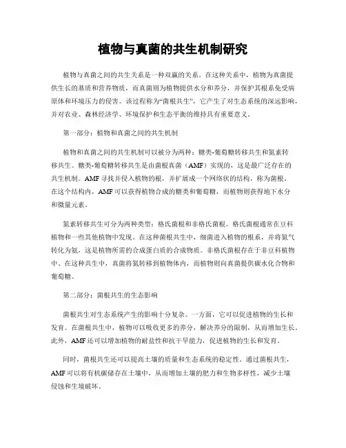 植物与真菌的共生机制研究