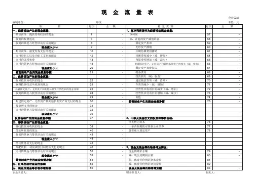 自动编制现金流量表(有资产负债表及利润表自动出)