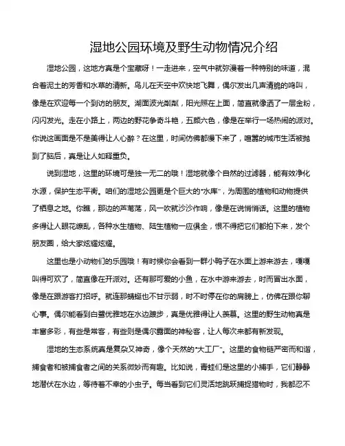 湿地公园环境及野生动物情况介绍