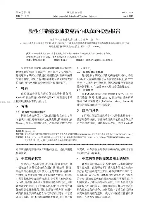新生仔猪感染肺炎克雷伯氏菌的检验报告