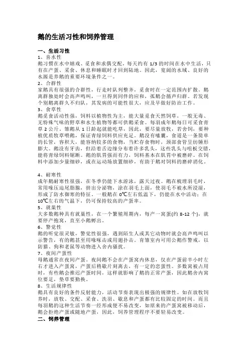 鹅的生活习性和饲养管理
