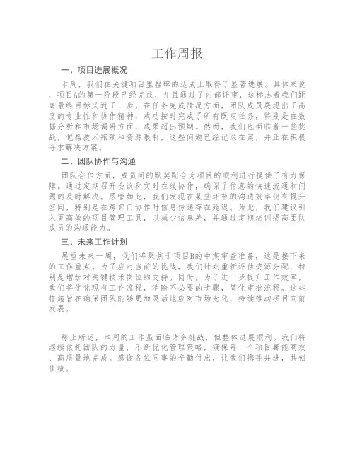 工作周报优秀模板