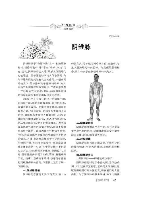 阴维脉
