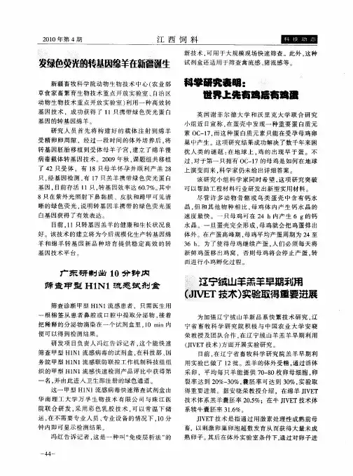 发绿色荧光的转基因绵羊在新疆诞生