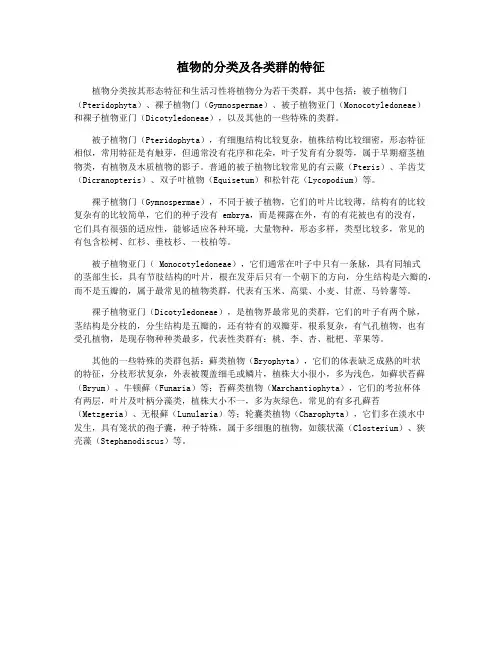 植物的分类及各类群的特征