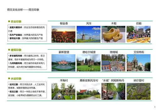 荷兰农业文化旅游演绎分析