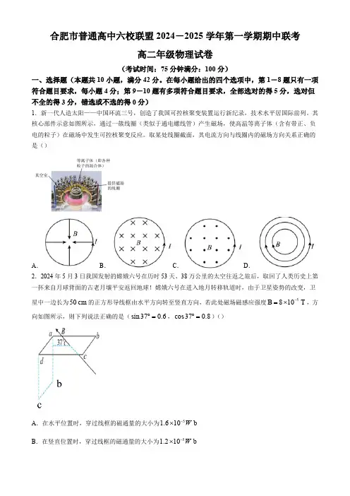 安徽省合肥市六校联盟2024-2025学年高二上学期11月期中考试 物理(含答案)