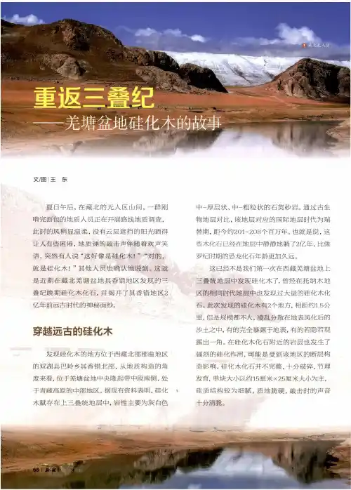重返三叠纪——羌塘盆地硅化木的故事