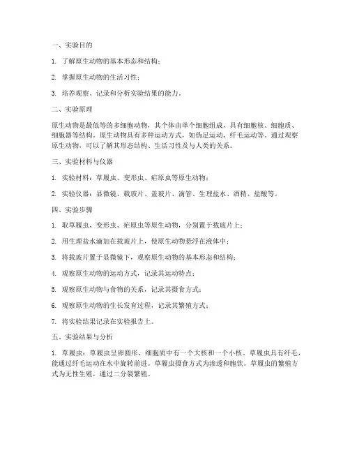 原生动物观察实验报告