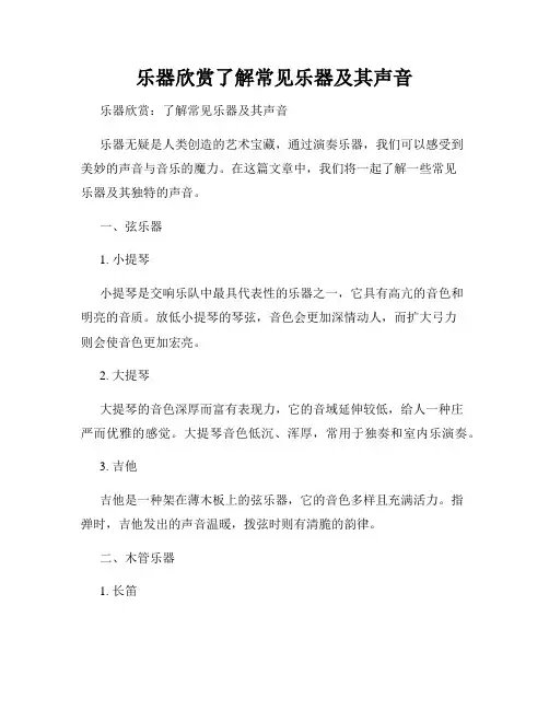 乐器欣赏了解常见乐器及其声音