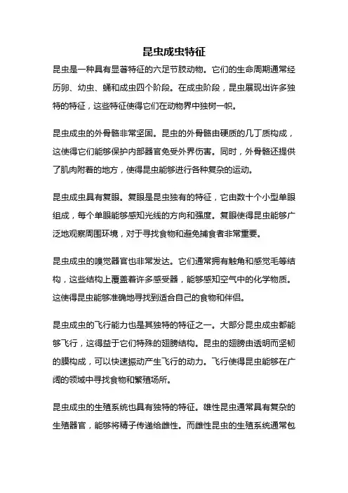 昆虫成虫特征