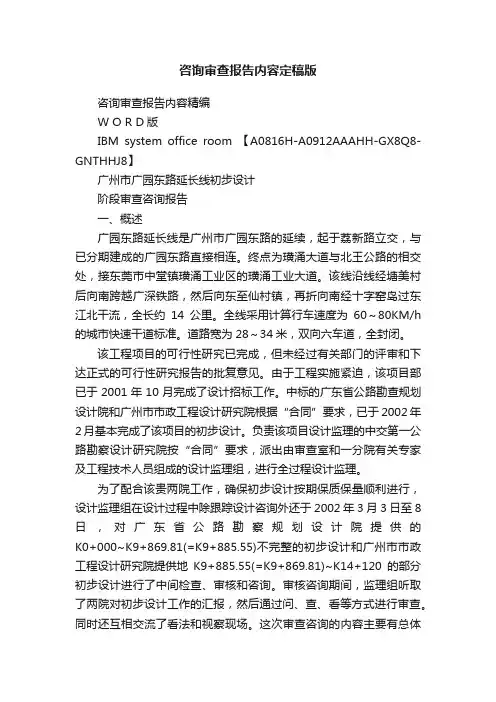 咨询审查报告内容定稿版