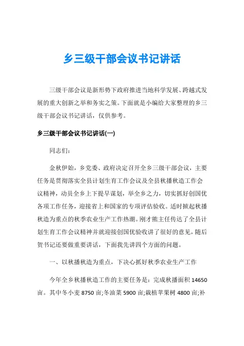 乡三级干部会议书记讲话