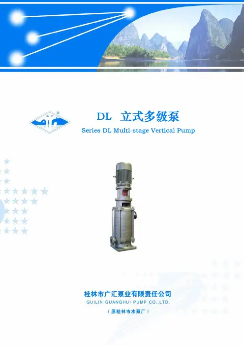 DL立式多级泵样本