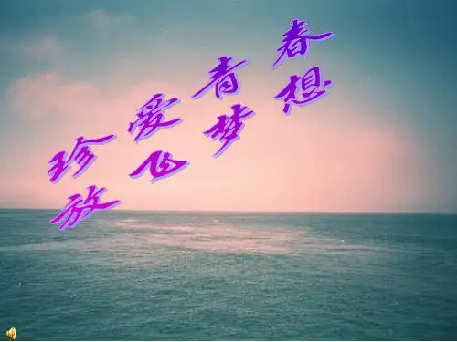 青春-梦想主题班会PPT课件