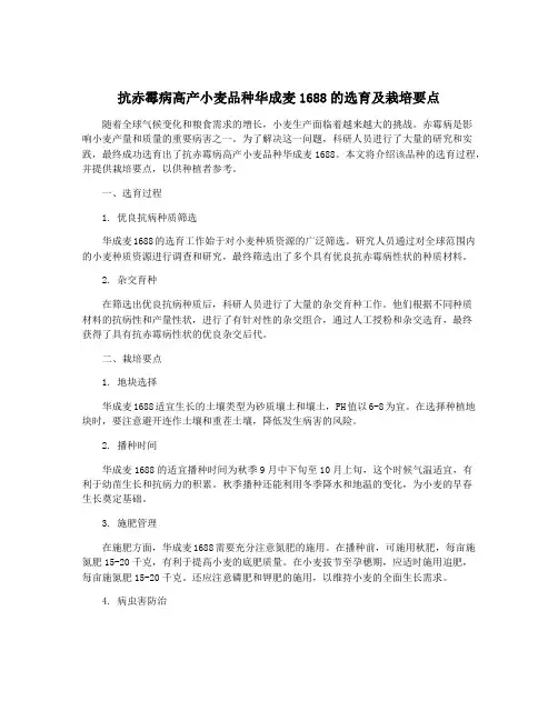 抗赤霉病高产小麦品种华成麦1688的选育及栽培要点