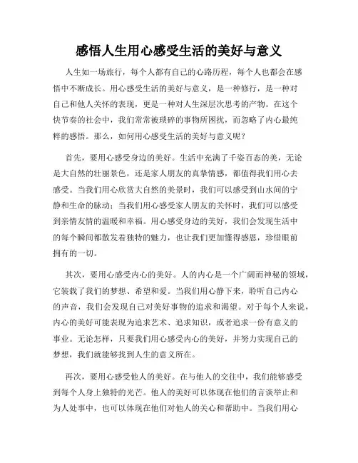感悟人生用心感受生活的美好与意义