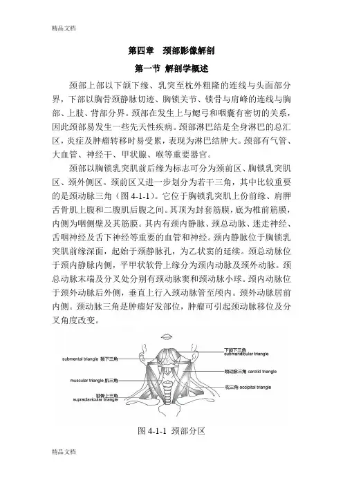 (整理)颈部影像解剖