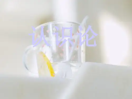 认识论PPT教学课件