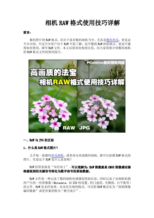 相机RAW格式使用技巧详解