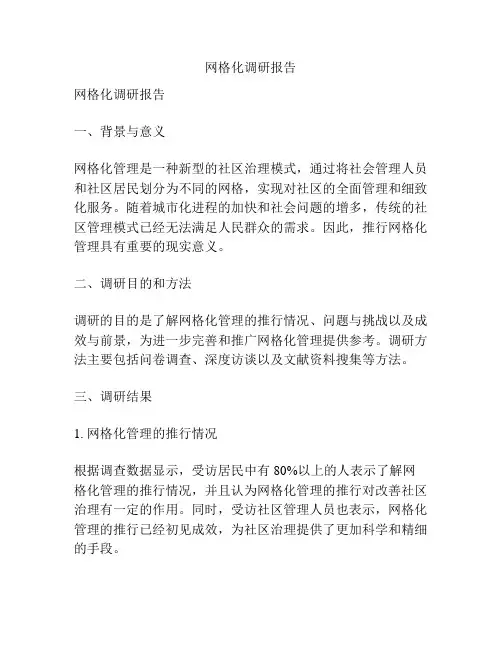 网格化调研报告