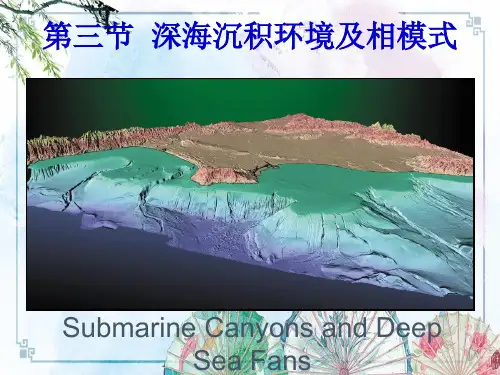 深海沉积——【岩相古地理】