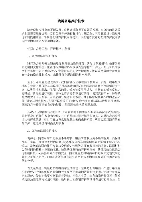 浅析公路养护技术