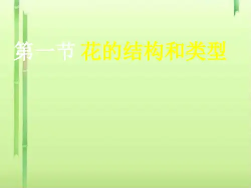花的结构和类型PPT课件8 济南版