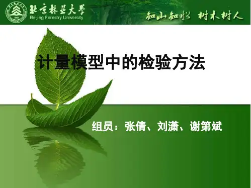 计量模型检验方法(谢第斌)