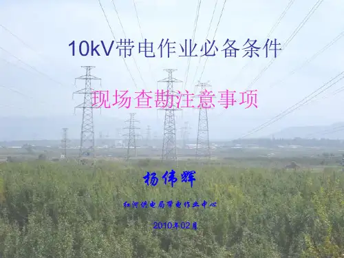 2、10kV带电作业必备条件(现场查勘注意事项)--曹博文